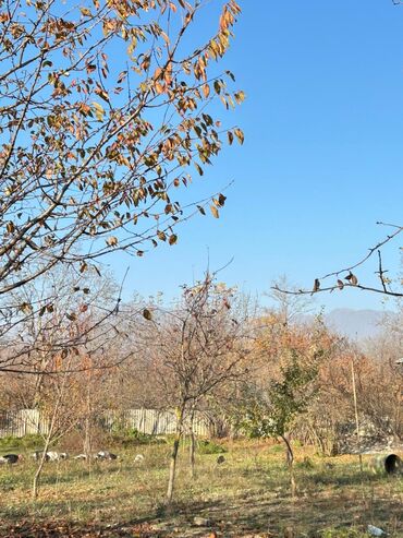 Torpaq sahələrinin satışı: 18 sot, Tikinti, Kupça (Çıxarış) — 5