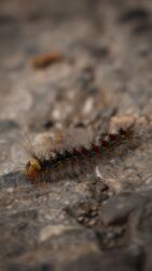 Fotokameralar: Salam. Fotoqraf deyiləm, hobbi üçün alınmış fotoaparatdır. Buna görə — 13