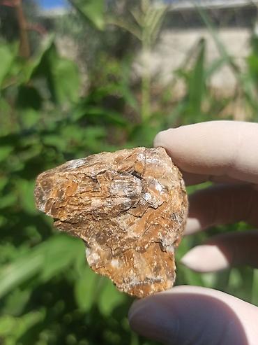 cib saatı: Milyon İllik Tarixi Fosil 💎 Daşlaşmış Ağac ( Petrified Wood ) 🪵 ✨ Bu — 9