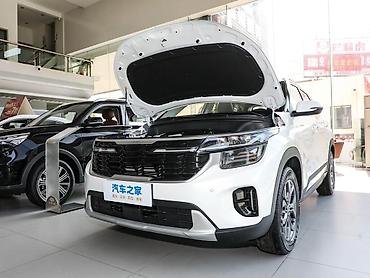 Kia: Стоимость Kia Seltos 2023 года, комплектация 1.5L CVT Luxury, по — 7