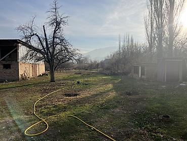 Продажа коттеджей и домов: Продается большой дом 30 соток с большим сараем, отдельный зал at lalafo.kg — 16 Продажа коттеджей и домов: Продается большой дом 30 соток с большим сараем, отдельный зал — 16