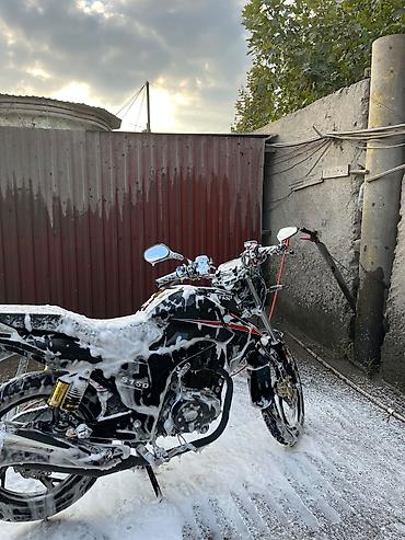w210 qanad: LIFAN - TUFAN 150 sm3, 10000 km — 5