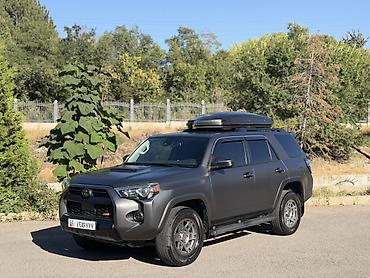 пампа: Toyota 4Runner: 2020 г., 4 л, Автомат, Бензин, Внедорожник — 1