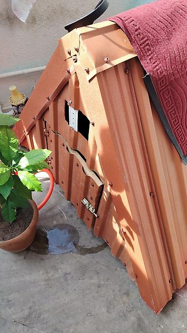 itmiş əşya: Metal itdən hazırlanmış it evi / qarderob tipli açılan saxlanma qutusu — 5