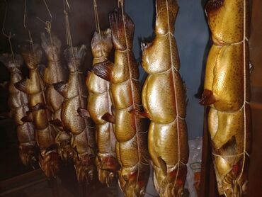 Другие услуги: Предлагаем услуги копчения любого мяса, птицы, рыбы. Копчение по — 9
