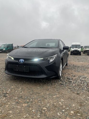 тойота ав: Toyota Corolla: 2019 г., 1.8 л, Автомат, Гибрид, Седан