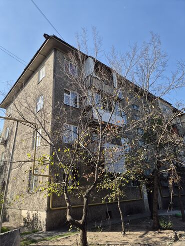 сдаю квартиру ночь: 1 бөлмө, Толугу менен эмереги бар
