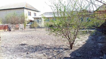 Torpaq sahələrinin satışı: 7 sot, Mülkiyyətçi, Kupça (Çıxarış) — 2