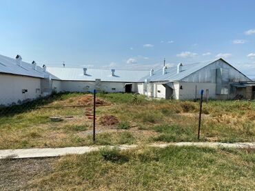 снять дачу за городом: 📍 Ünvan: Ağsu rayonu, Bozavad kəndi 📏 Sahə: 85 sot 📜 Sənəd: Kupça ✨