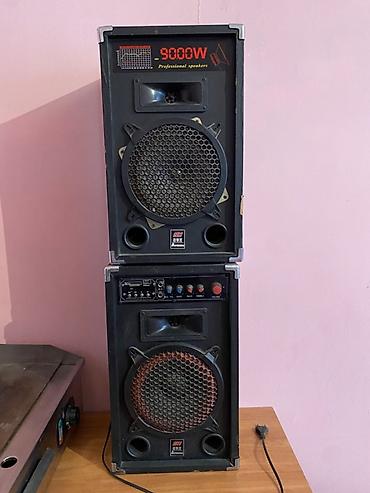 калонки на прокат: Пара напольных акустических систем SH (Professional Speakers) с — 2