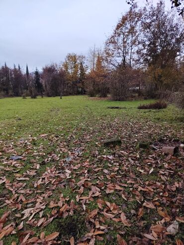 Torpaq sahələrinin satışı: 18 sot, Kənd təsərrüfatı, Mülkiyyətçi, Bələdiyyə — 7