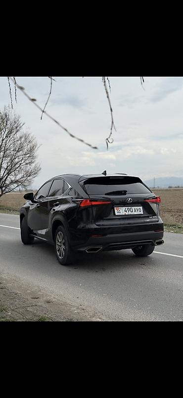 Lexus: Lexus NX: 2019 г., 2 л, Автомат, Бензин, Кроссовер — 4