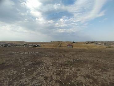 Torpaq sahələrinin satışı: 12 sot, Kupça (Çıxarış) — 6