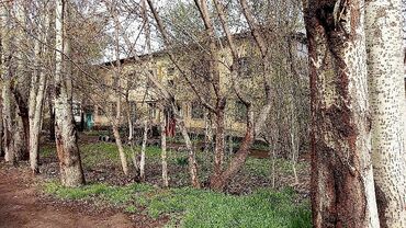 арендовать квартиру для офиса: 3 комнаты, 75 м², Индивидуалка, 2 этаж, Старый ремонт