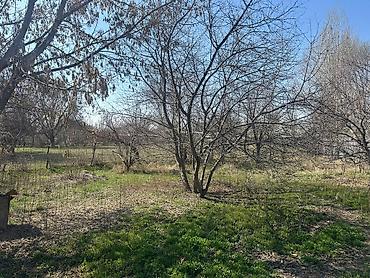 Продажа коттеджей и домов: Продается участок с домом в селе Каирма 💸=90.000$+торг уместен — 7