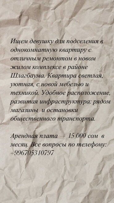 шлагбаум квартиры: 1 комната, Собственник, С подселением, С мебелью полностью