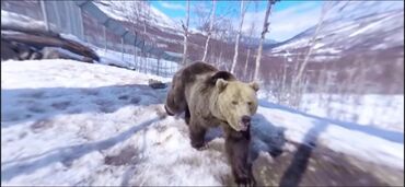 Другие VR очки: VR BOX 3D очки VR очки и 1 пультом белый 800с VR очки и 1 пультом — 2