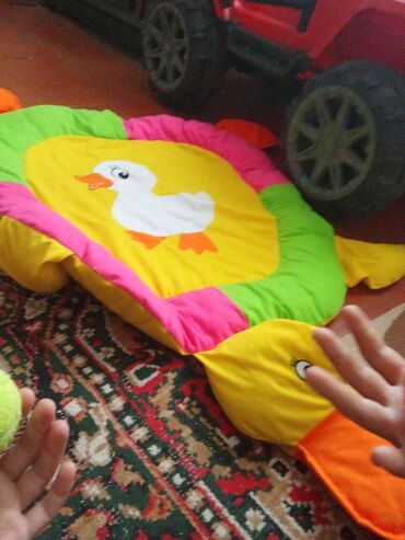İtlər: Zvonok, 1 ay, Erkek, Ödənişli çatdırılma, Ünvandan götürmə, Pulsuz çatdırılma — 2