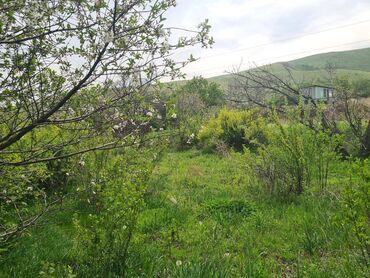 Продажа участков: 7 соток