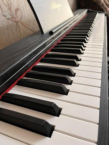 İdman və hobbi: Piano, Rəqəmsal, İşlənmiş, Ödənişli çatdırılma — 3