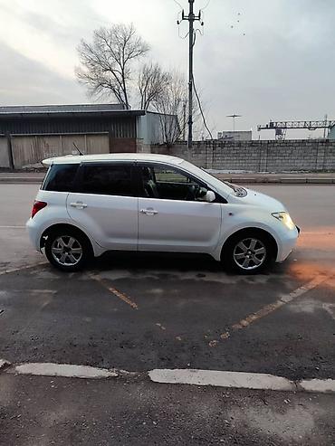 Toyota: Toyota ist: 2003 г., 1.5 л, Автомат, Бензин, Хэтчбэк — 10