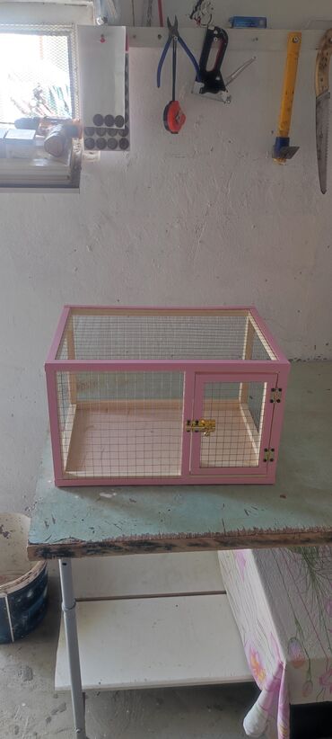 Gəmiricilər: Dovşan,hamster,şinşila,bildirçin,cücə,xamyak,pişik,quş ve s kimi ev
