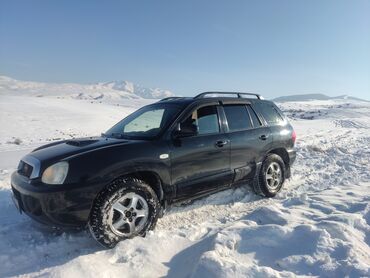 Hyundai: Hyundai Santa Fe: 2004 г., 2.4 л, Механика, Бензин, Кроссовер