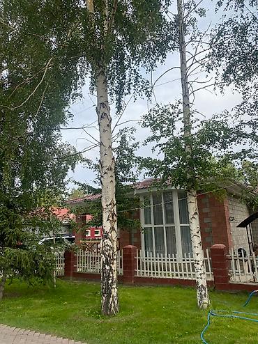 Иссык-Куль 2026: Коттедж, Радуга Вест ЦО Радуга West, Кош-Кол, Баскетбольная площадка, Детская площадка, Бассейн — 11