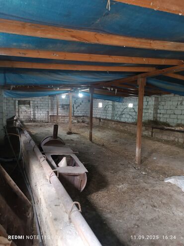 Torpaq sahələrinin satışı: 30 sot, Kənd təsərrüfatı, Mülkiyyətçi, Kupça (Çıxarış) — 9