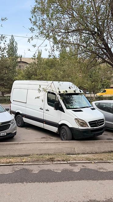Mercedes-Benz Спринтер: 2009 г.