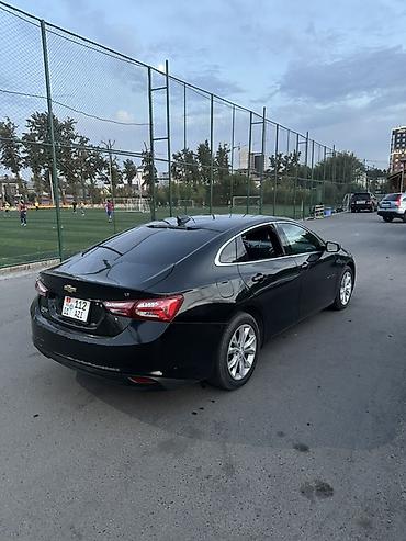 10 регион машины: Chevrolet Malibu: 2019 г., 1.5 л, Автомат, Бензин, Седан — 4