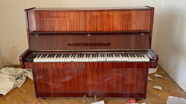 Sintezatorlar: Piano, Belarus, Akustik, İşlənmiş, Ünvandan götürmə, Ödənişli çatdırılma