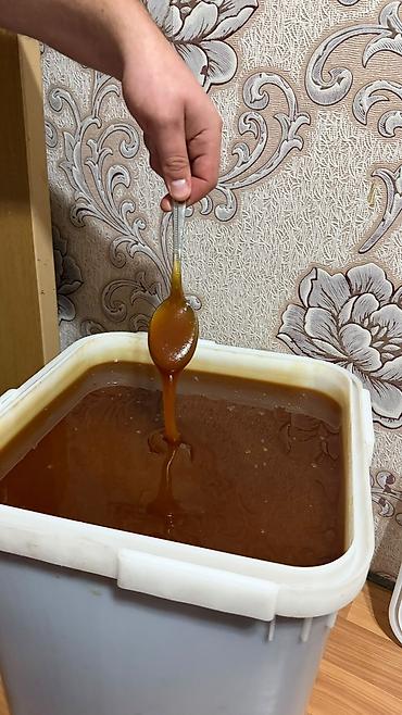 Дом и сад: 🍯 Натуральный пчелиный гречишный мёд. Очень вкусный и полезный — 4
