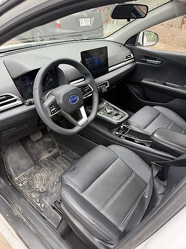 BYD: BYD E2: 2022 г., Электромобиль, Хэтчбэк — 8