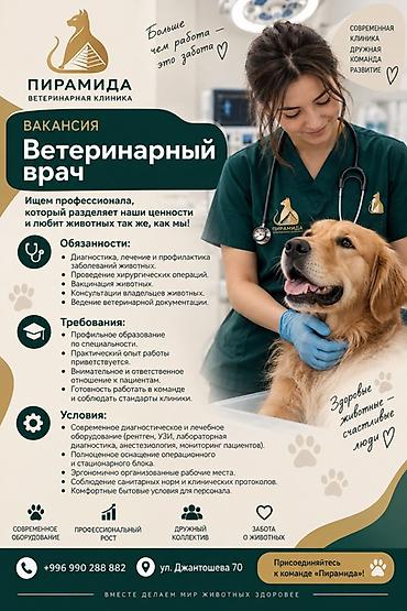 вакансия врач лаборант: В ветеринарную клинику "Пирамида" требуется Ветеринарный врач — 1