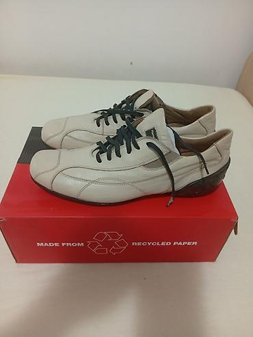Pierre Cardin muške kožne patike - Brend: Pierre Cardin Paris (logo