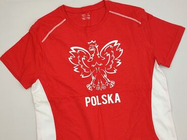 Koszulka dla mężczyzn, L, stan - Idealny