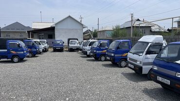 деу несия: Daewoo Лабо: 2021 г., 0.8 л, Механика, Газ, Пикап