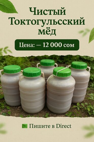 липовый мед: 🍯 Токтогульский горный мёд – чистый, натуральный и очень полезный!