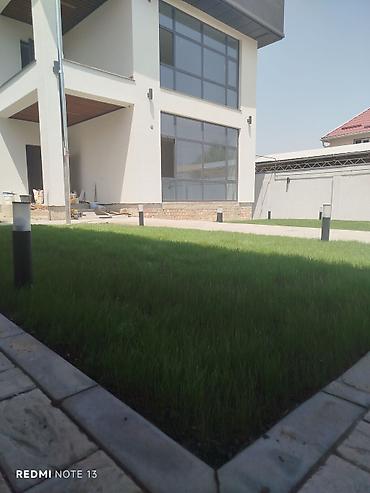 Семена газона: Газонная смесь DLF Seeds & Science - Профессиональные семена для — 12