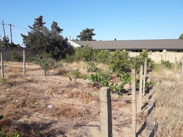 Torpaq sahələrinin satışı: 19 sot, Kupça (Çıxarış), Texniki pasport -da lalafo.az — 4 Torpaq sahələrinin satışı: 19 sot, Kupça (Çıxarış), Texniki pasport — 4