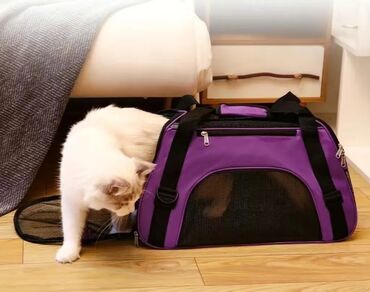 Зоотовары: Зоотовары. новый лежак. Лежак для кошки и собаки. размер 60 40 20 — 6