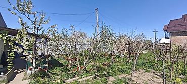 Продажа дач: Продается Дача 5 соток с двухэтажным домом 46 квадратов летней — 12