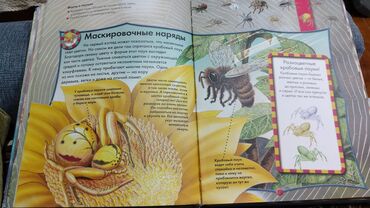 Uşaqlar üçün digər mallar: Детские сказки,в идеальном состояние несколько книжек новые.цены от 3 — 7