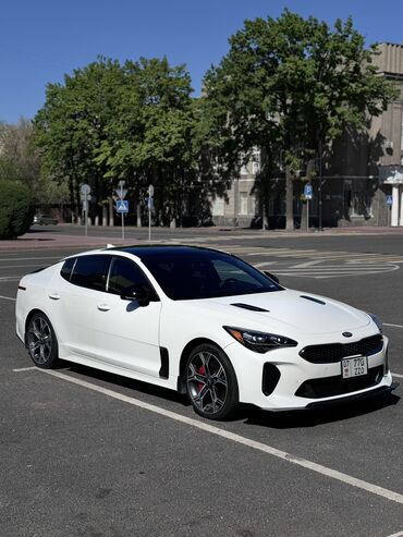 изготовление чип ключа для автомобиля: Kia : 2018 г., 3.3 л, Автоматические, Бензин, Хэтчбэк