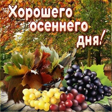 работа для пенсионеров бишкек: Талап кылынат Малчы, Төлөм Бир айда эки жолу
