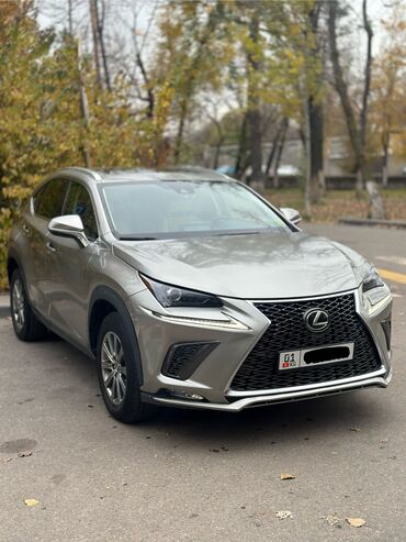 lexus nx 200t: Lexus NX: 2020 г., 2 л, Автомат, Бензин, Кроссовер