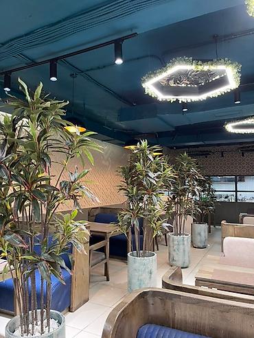 хвойные растения: Instagram: Mayram.decor.kg Искусственное дерево с пышной зеленой — 2