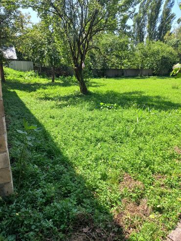 Həyət evləri və villaların satışı: 6 otaqlı, 56 kv. m, Yeni təmirli — 8