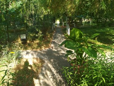 Kommersiya daşınmaz əmlakının satışı: Qusar şəhərində(200 sot) Şahdağa gedən yolun Qusar çayının sol — 7